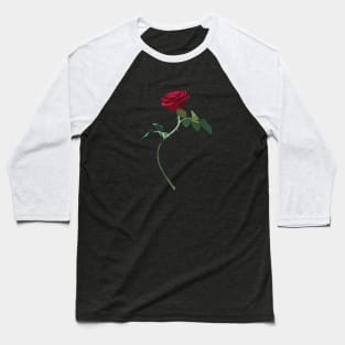 rose beauty and the beast Baseball T-Shirt